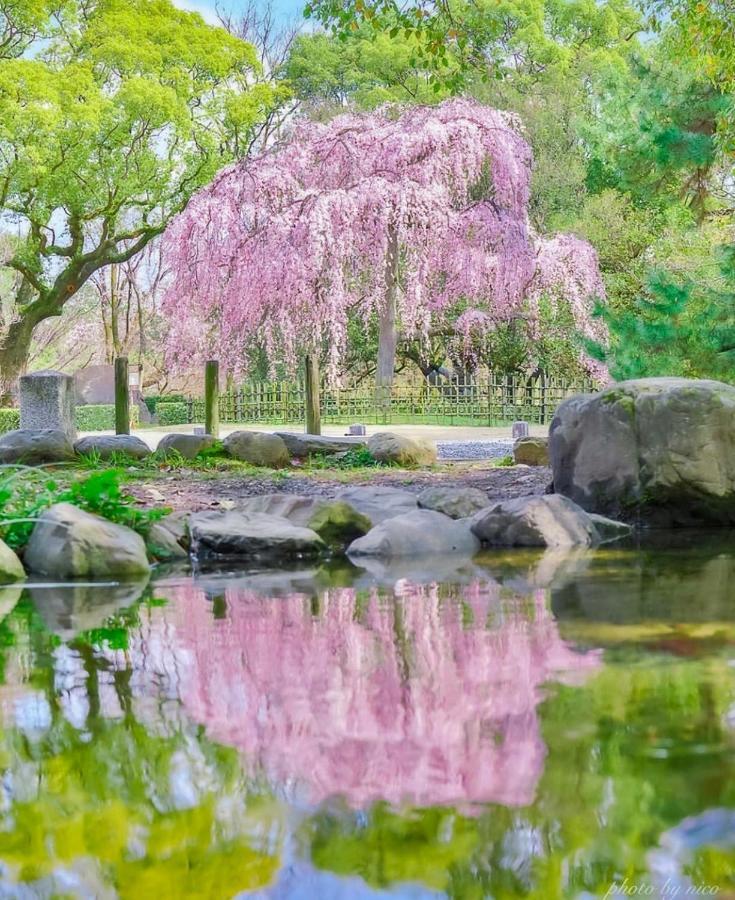 京都市 鶴居 御所西ヴィラ エクステリア 写真